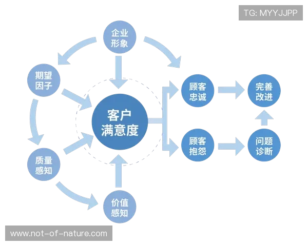 大满贯登录：优化网站登录流程提升用户满意度的方法