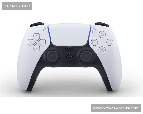 如何快速安全地完成半岛app综合体育的下载安装流程